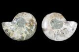 Cut & Polished Ammonite (Anapuzosia?) Pair - Madagascar #88014-1